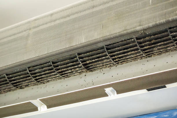 Best Affordable Duct Cleaning Services  in Reinholds, PA